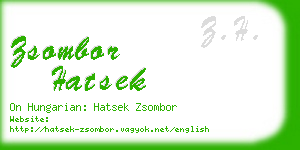 zsombor hatsek business card